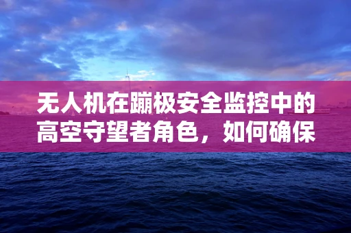 无人机在蹦极安全监控中的高空守望者角色，如何确保每一次跳跃都安全无忧？