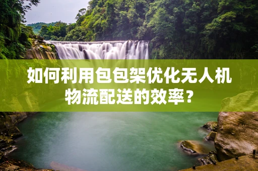 如何利用包包架优化无人机物流配送的效率？