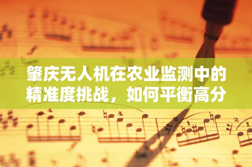 肇庆无人机在农业监测中的精准度挑战，如何平衡高分辨率与大范围覆盖？