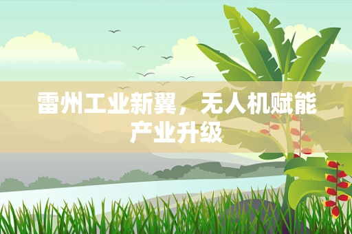 雷州工业新翼，无人机赋能产业升级