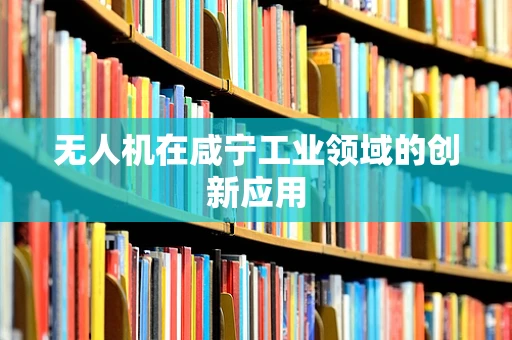 无人机在咸宁工业领域的创新应用