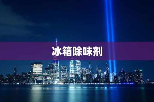 冰箱除味剂
