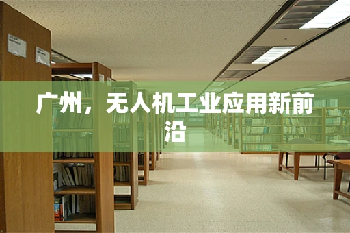 广州，无人机工业应用新前沿