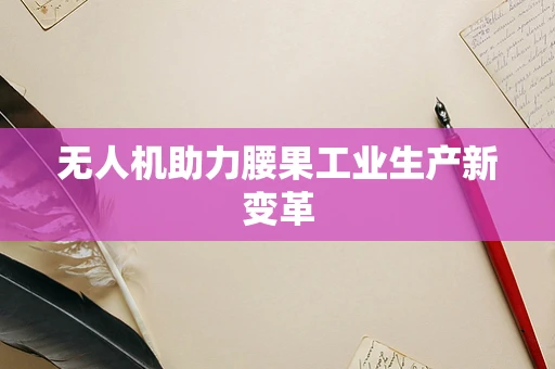 无人机助力腰果工业生产新变革
