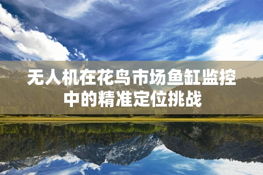 无人机在花鸟市场鱼缸监控中的精准定位挑战