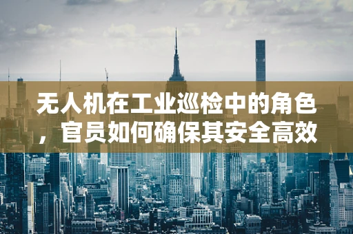 无人机在工业巡检中的角色，官员如何确保其安全高效应用？