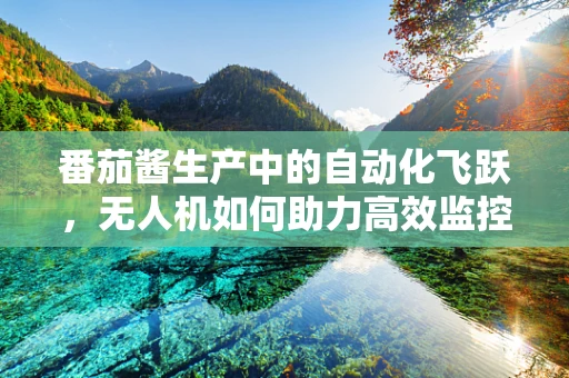番茄酱生产中的自动化飞跃，无人机如何助力高效监控与运输？