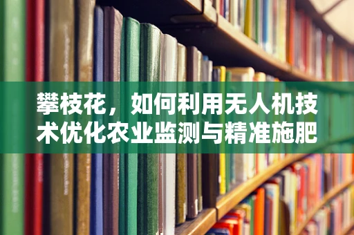 攀枝花，如何利用无人机技术优化农业监测与精准施肥？