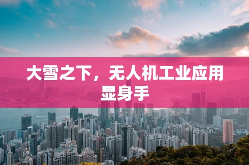 大雪之下，无人机工业应用显身手