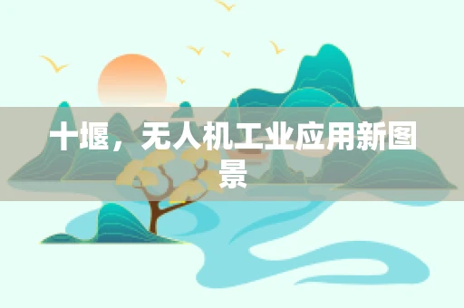 十堰，无人机工业应用新图景