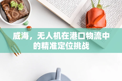 威海，无人机在港口物流中的精准定位挑战