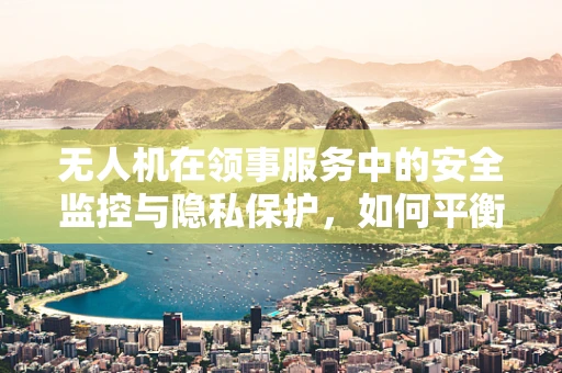 无人机在领事服务中的安全监控与隐私保护，如何平衡？