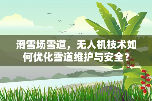 滑雪场雪道，无人机技术如何优化雪道维护与安全？