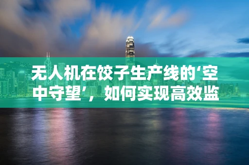 无人机在饺子生产线的‘空中守望’，如何实现高效监控与精准配送？