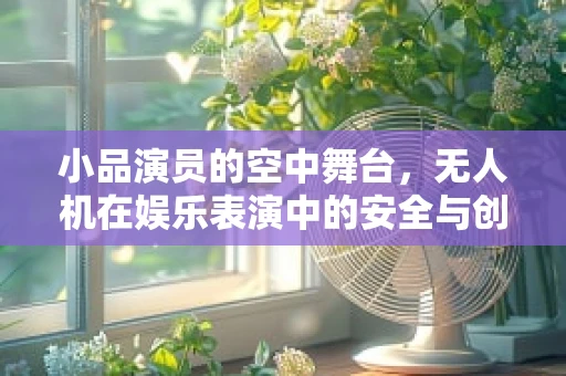 小品演员的空中舞台，无人机在娱乐表演中的安全与创意应用？