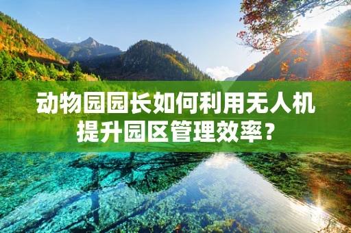 动物园园长如何利用无人机提升园区管理效率？