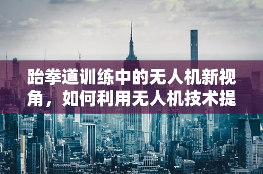 跆拳道训练中的无人机新视角，如何利用无人机技术提升运动员表现？
