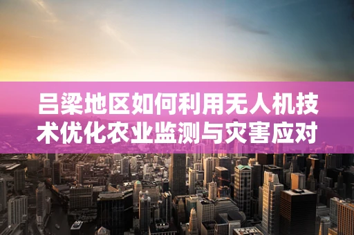 吕梁地区如何利用无人机技术优化农业监测与灾害应对？