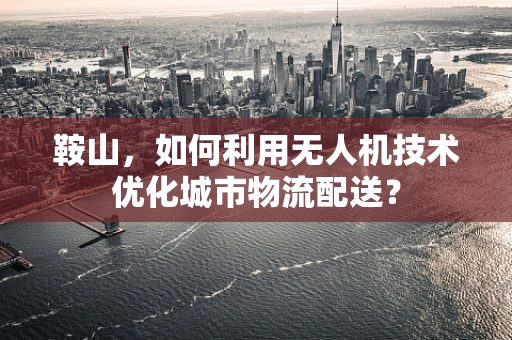 鞍山，如何利用无人机技术优化城市物流配送？
