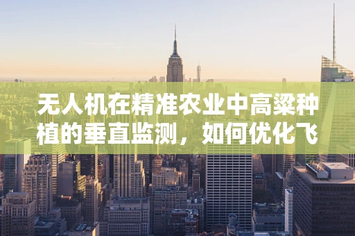 无人机在精准农业中高粱种植的垂直监测，如何优化飞行路径以减少作物损伤？