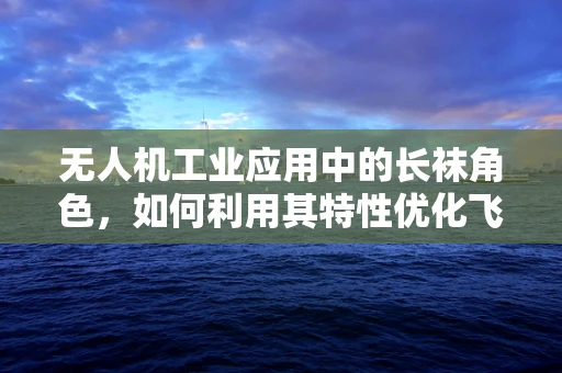 无人机工业应用中的长袜角色，如何利用其特性优化飞行稳定性？