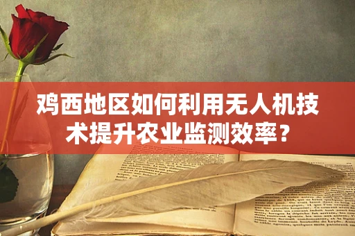 鸡西地区如何利用无人机技术提升农业监测效率？
