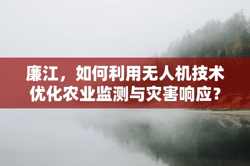 廉江，如何利用无人机技术优化农业监测与灾害响应？
