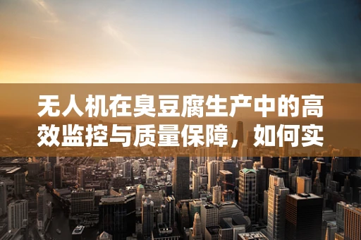 无人机在臭豆腐生产中的高效监控与质量保障，如何实现精准定位发酵过程？