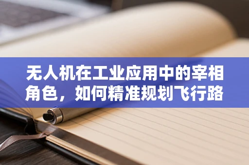 无人机在工业应用中的宰相角色，如何精准规划飞行路径以实现高效物流？