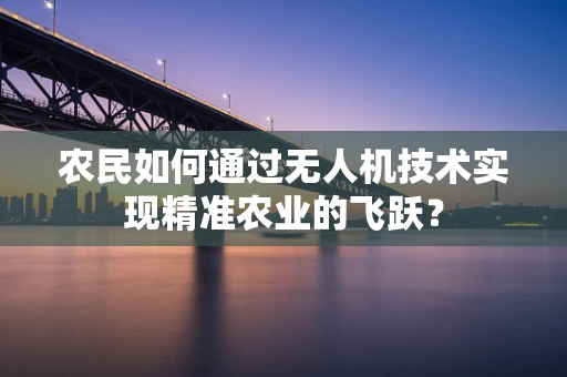 农民如何通过无人机技术实现精准农业的飞跃？
