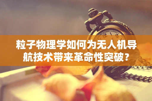 粒子物理学如何为无人机导航技术带来革命性突破？