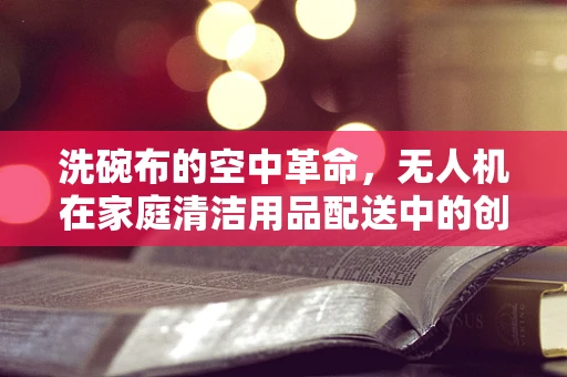 洗碗布的空中革命，无人机在家庭清洁用品配送中的创新应用？