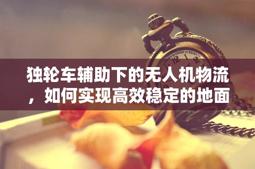 独轮车辅助下的无人机物流，如何实现高效稳定的地面运输？