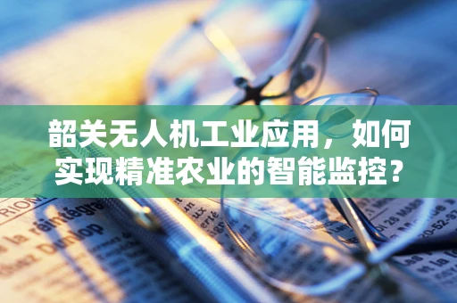 韶关无人机工业应用，如何实现精准农业的智能监控？