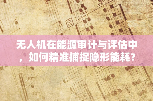 无人机在能源审计与评估中，如何精准捕捉隐形能耗？