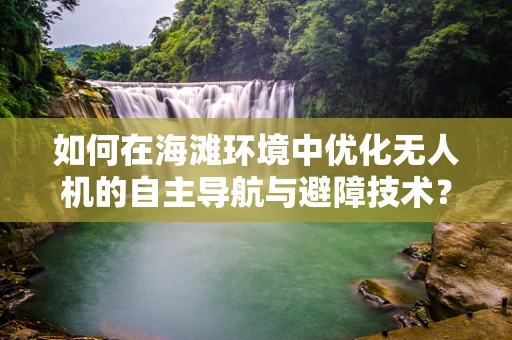 如何在海滩环境中优化无人机的自主导航与避障技术？