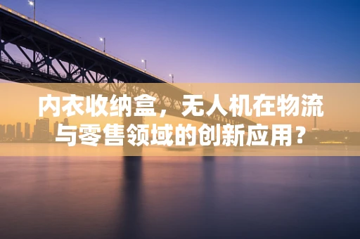 内衣收纳盒，无人机在物流与零售领域的创新应用？