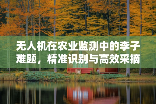 无人机在农业监测中的李子难题，精准识别与高效采摘的平衡