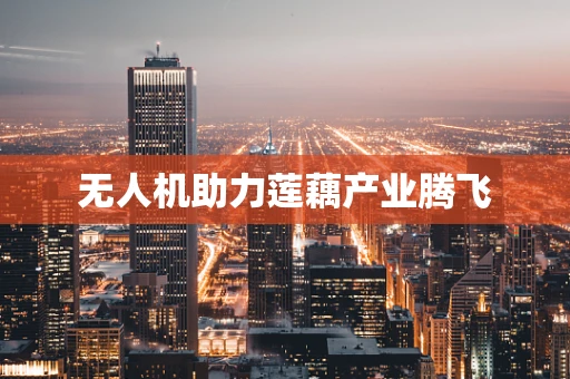 无人机助力莲藕产业腾飞