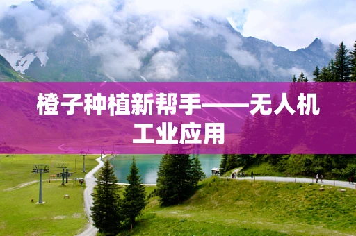 橙子种植新帮手——无人机工业应用