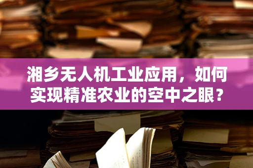 湘乡无人机工业应用，如何实现精准农业的空中之眼？
