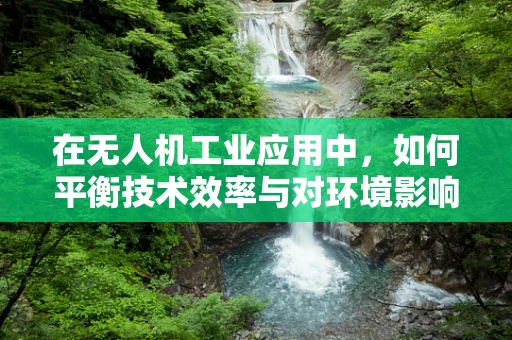 在无人机工业应用中，如何平衡技术效率与对环境影响的同情心？
