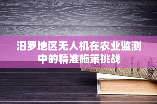 汨罗地区无人机在农业监测中的精准施策挑战
