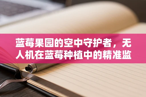 蓝莓果园的空中守护者，无人机在蓝莓种植中的精准监测挑战