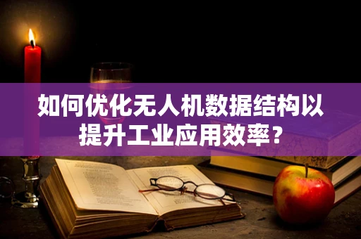 如何优化无人机数据结构以提升工业应用效率？