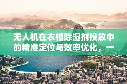 无人机在衣柜除湿剂投放中的精准定位与效率优化，一个待解的技术难题？