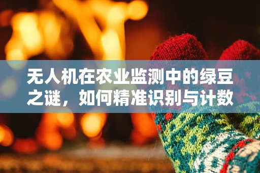 无人机在农业监测中的绿豆之谜，如何精准识别与计数？