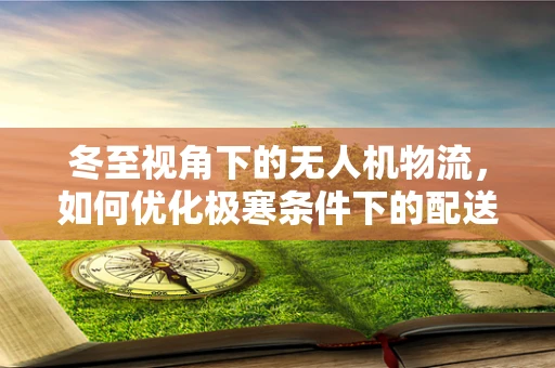 冬至视角下的无人机物流，如何优化极寒条件下的配送效率？