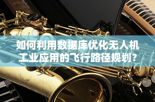 如何利用数据库优化无人机工业应用的飞行路径规划？