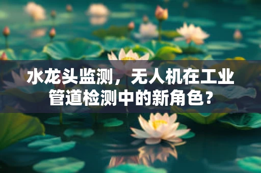 水龙头监测，无人机在工业管道检测中的新角色？